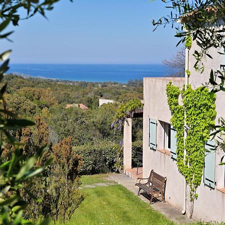 Domaine Punta Della Guardia Villa Vue Mer Dans Nature Protegee, Plage A 1,5 Km セルヴィオーヌ エクステリア 写真