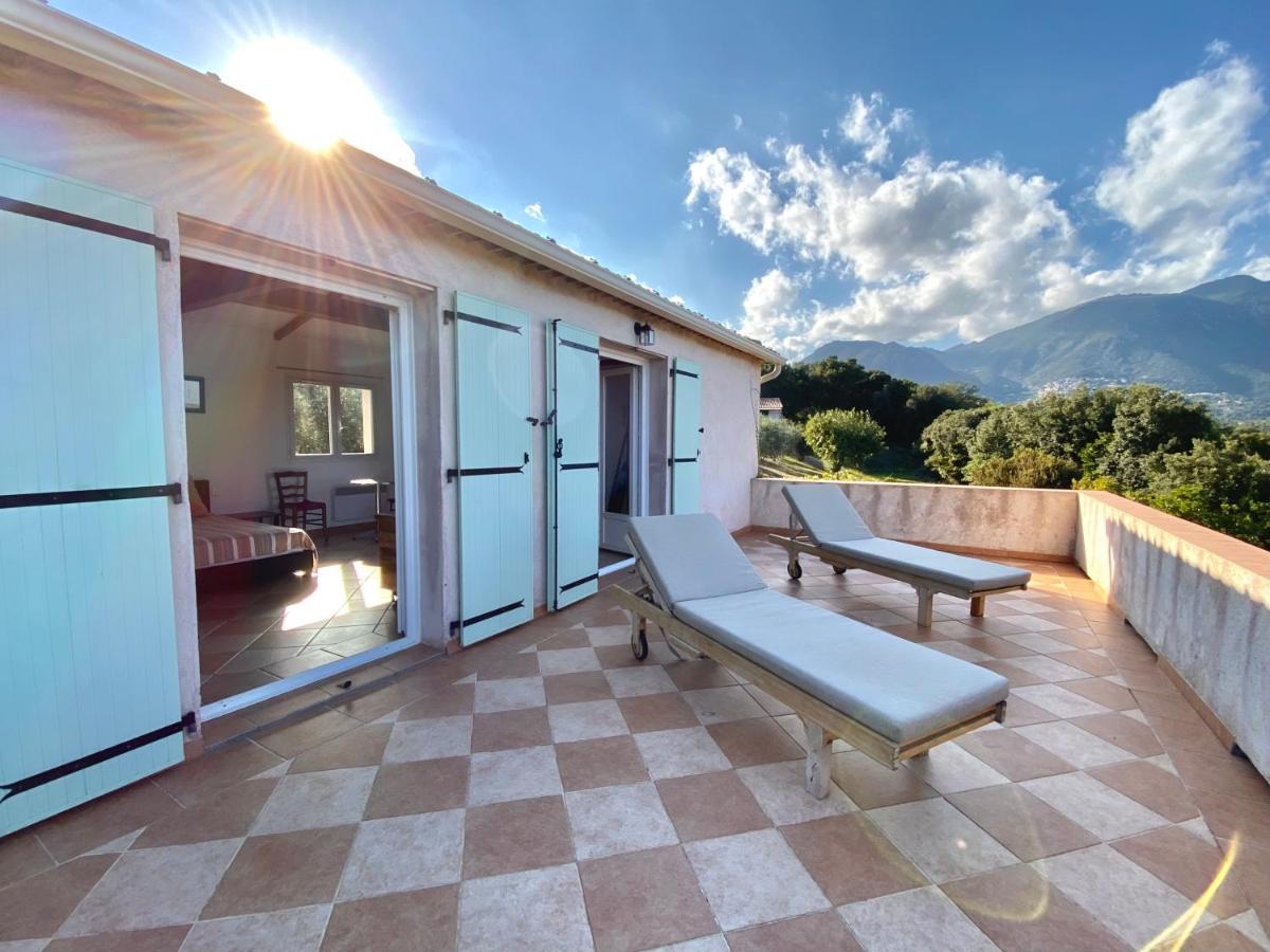 Domaine Punta Della Guardia Villa Vue Mer Dans Nature Protegee, Plage A 1,5 Km セルヴィオーヌ エクステリア 写真
