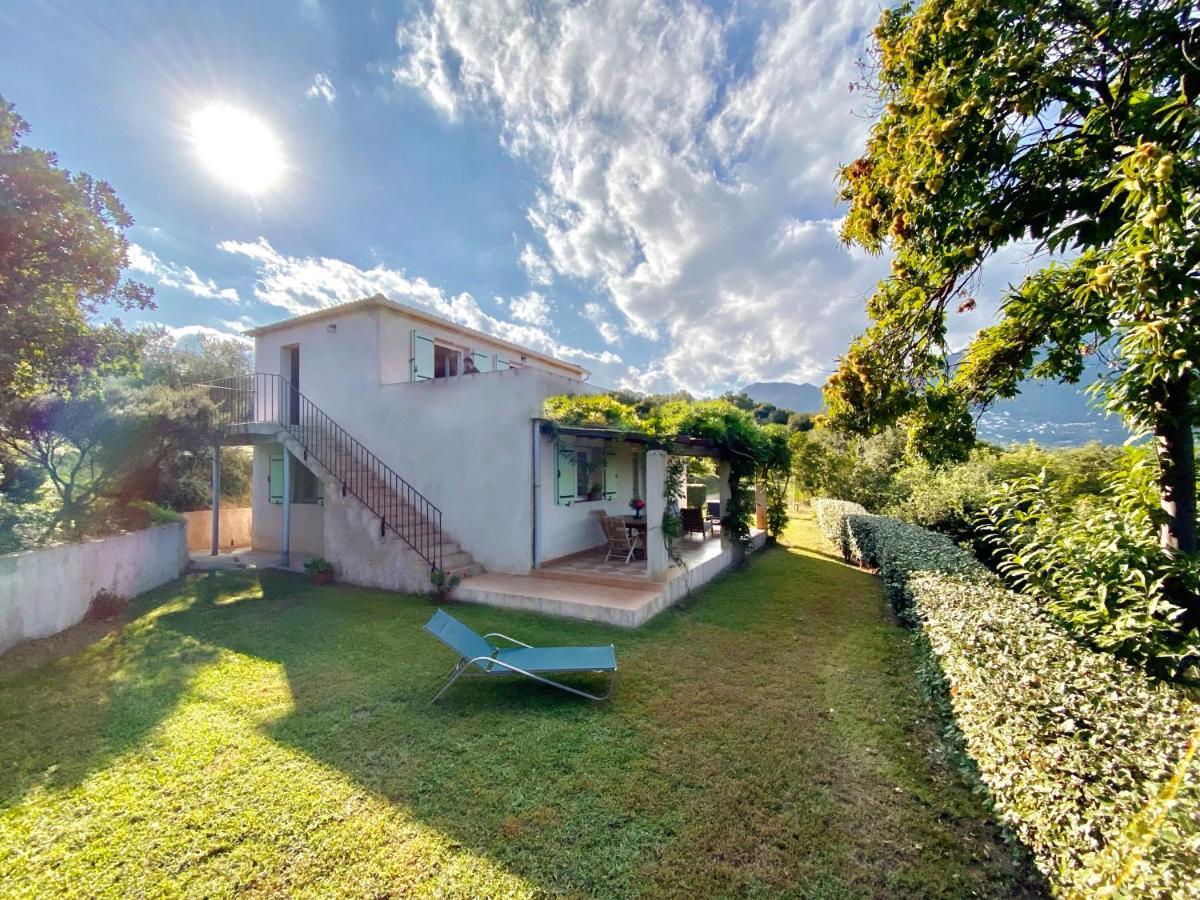 Domaine Punta Della Guardia Villa Vue Mer Dans Nature Protegee, Plage A 1,5 Km セルヴィオーヌ エクステリア 写真